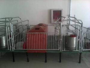 發往天津客戶的產品案例照片